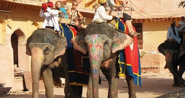India's Tajmahal Tour with Culinary Experience - 07 Days - K K Holidays N Vacations  9