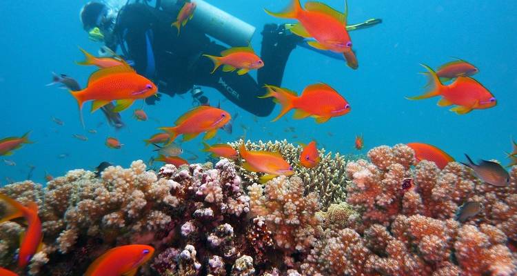 Discover Cairo, Luxor &The Red Sea All-inclusive 5 Stars Hotels & Flights Included - Look at Egypt Tours  3