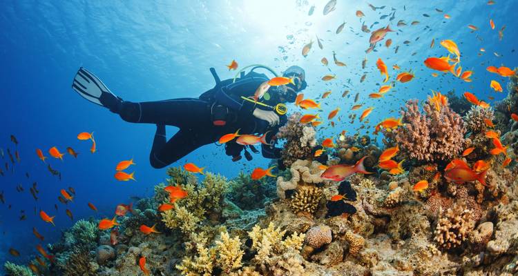 Discover Cairo, Luxor &The Red Sea All-inclusive 5 Stars Hotels & Flights Included - Look at Egypt Tours  4