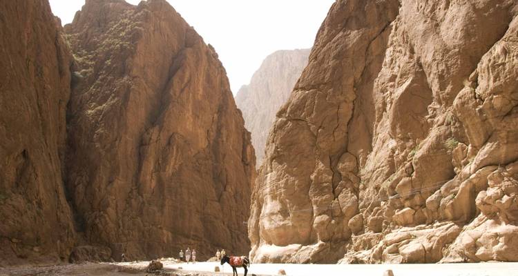 "Mensen die met muildieren wandelen in een smalle bergkloof."