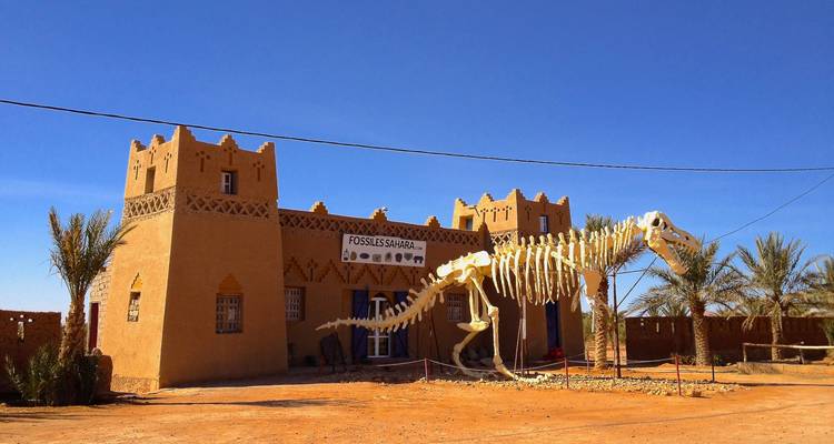 Gebouw met een groot dinosaurusskelet buiten.