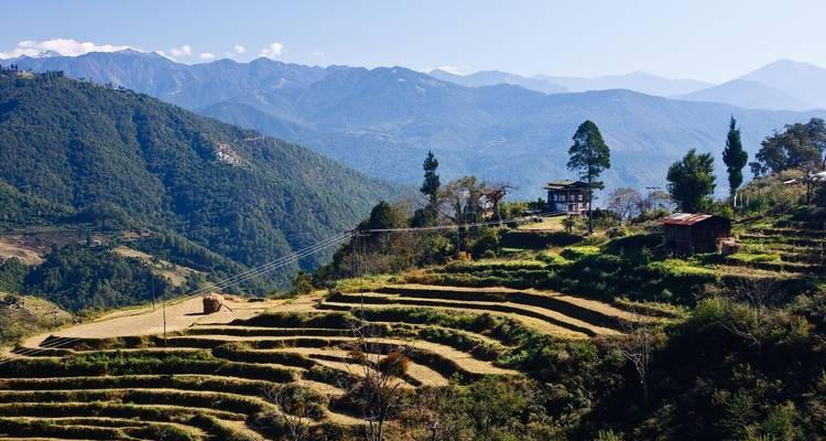 Terrassen velden en landelijk landschap met berg op de achtergrond.