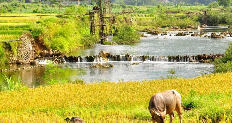Vietnam : le trésor caché de Pu Luong - Threeland Travel 2