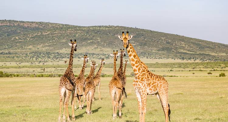 5 Days Kenya Camping Safari - Great Rift Valley and Maasai Mara - Exciting Africa Holidays 2