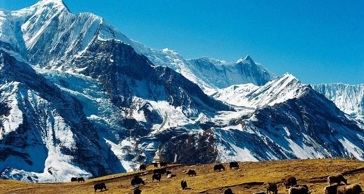 Circuit du camp de base sud du Kanchenjunga - 17 jours - Mega Mount Treks and Expedition Pvt.Ltd.  7