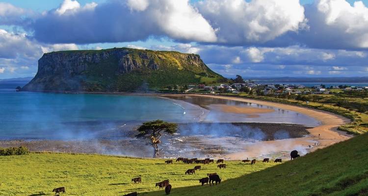 Western Wonders of Tasmania Hobart to Launceston (2023) - Travel Marvel 2