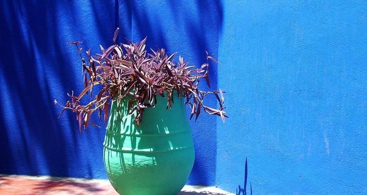 Chefchaouen et Nord, visite privée - Destination Services Morocco 1