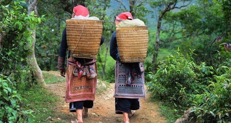 Hill Tribes, Halong Bay & Beyond - 13 days - On The Go Tours 7