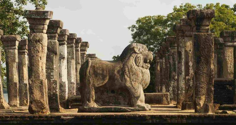 Lo esencial de Sri Lanka - mejora gratuita Visita privada para dos o más clientes de pago disponible - Acme Travels Sri Lanka  6