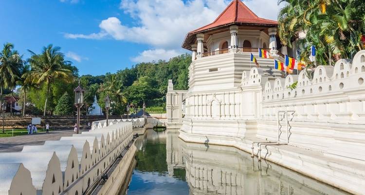 Lo esencial de Sri Lanka - mejora gratuita Visita privada para dos o más clientes de pago disponible - Acme Travels Sri Lanka  2