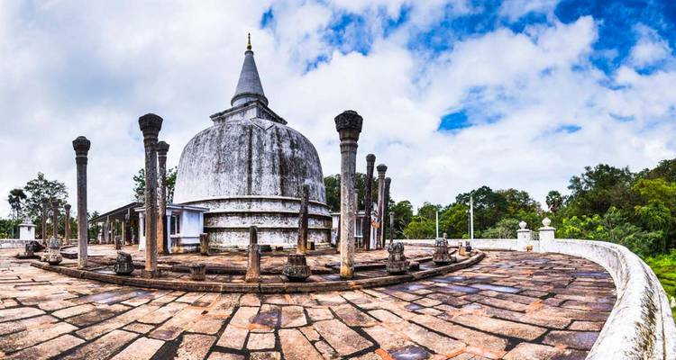 Lo esencial de Sri Lanka - mejora gratuita Visita privada para dos o más clientes de pago disponible - Acme Travels Sri Lanka  7