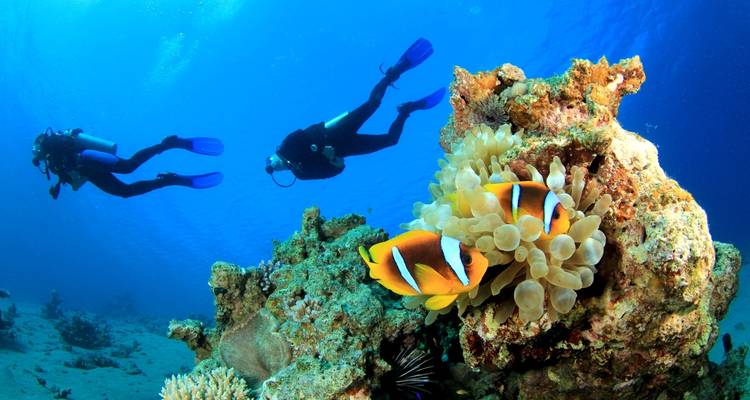 Voyage romantique au Sri Lanka - Look Lanka Tours 8