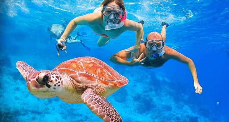 Deux plongeurs en apnée nageant avec une tortue de mer dans une eau bleue claire.