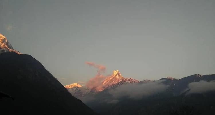Trek du camp de base de l'Annapurna - White Hill Adventure Treks and Expedition Pvt Ltd 8