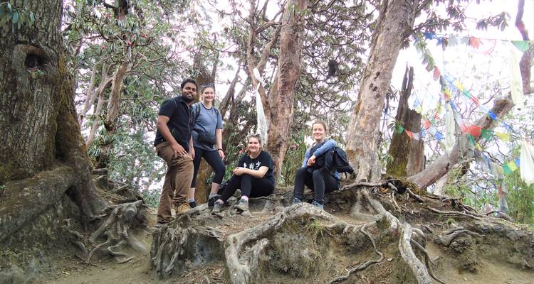 Trekking à Poon Hill - Guide privé (de Katmandou) - GoTravelAround 3
