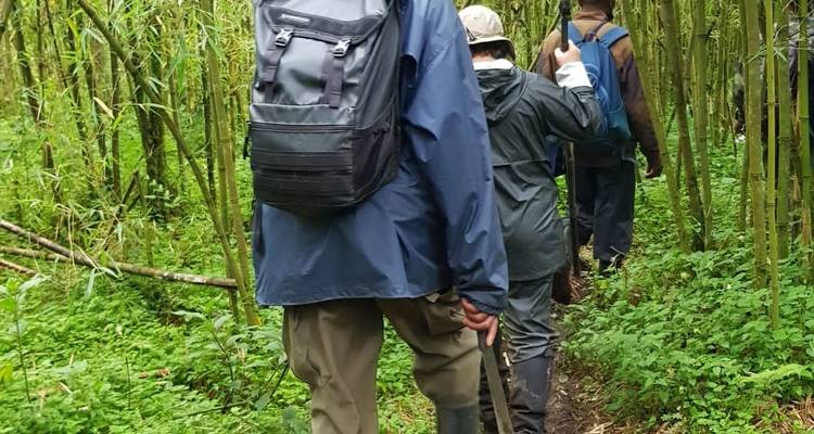 6 jours d'expérience avec les gorilles au Rwanda et en Ouganda - New Horizon Africa Safaris 10