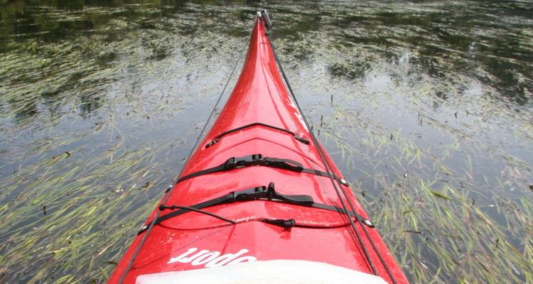A red kayak navigating through vegetation.