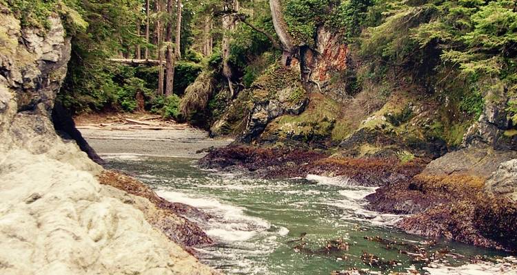 A scenic coastal inlet surrounded by forest.