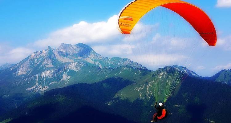 Le Cap - 5 jours d'excursions : Parapente et; Péninsule du Cap et; Dégustation de vin et; Plongée dans la cage aux requins et; Aquila Safari Tour - Matadi Africa and Travel Tours 1