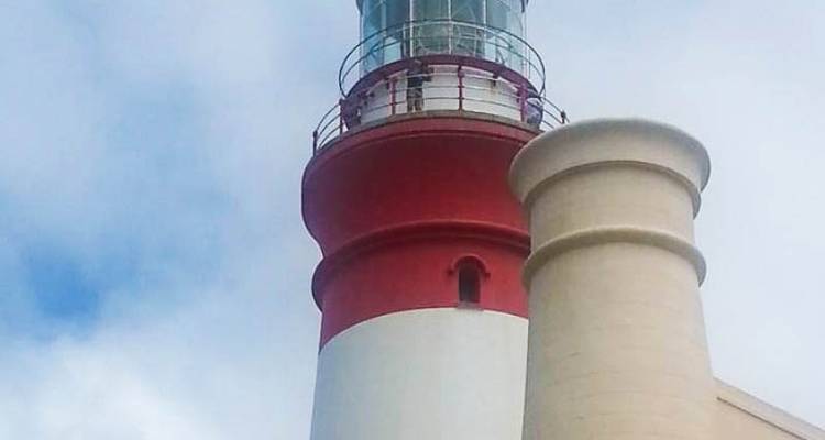 Circuitos de 5 días a Ciudad del Cabo: circuito en helicóptero, cata de vinos, Cape Point, safari Aquila y Elefante Addo - Matadi Africa and Travel Tours 9