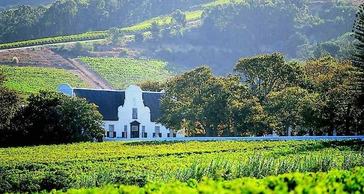Circuitos de 5 días a Ciudad del Cabo: circuito en helicóptero, cata de vinos, Cape Point, safari Aquila y Elefante Addo - Matadi Africa and Travel Tours 5