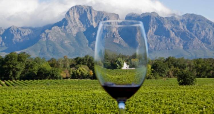 Attractions de l'Afrique du Sud en 5 jours : Visite de la cage aux crocodiles, dégustation de vin, visite de Robben Island, péninsule du Cap, Aquila Safari Tour - Matadi Africa and Travel Tours 9