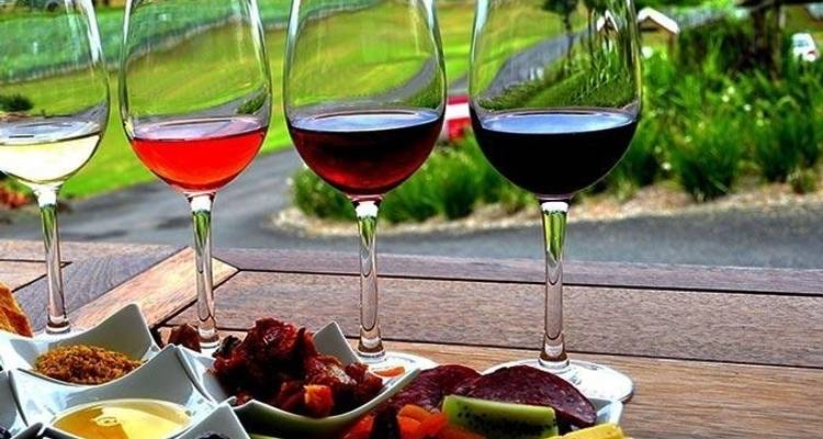 Attractions de l'Afrique du Sud en 5 jours : Visite de la cage aux crocodiles, dégustation de vin, visite de Robben Island, péninsule du Cap, Aquila Safari Tour - Matadi Africa and Travel Tours 7
