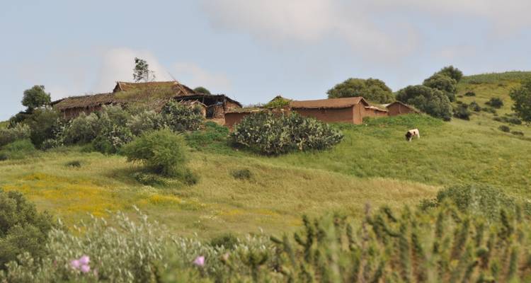 Circuit des montagnes, des steppes et du désert de l'arrière- pays marocain - Morocco Discoveries 4