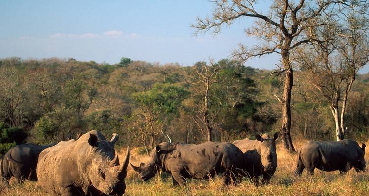 Ciudad del Cabo - 5 días - circuito a Cape Point, Oudtshoroorn, Mossel Bay, Knysna y Addo Elephant - Matadi Africa and Travel Tours 2