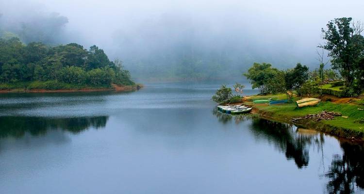 Kerala - Circuit privé de 7 jours au départ de Cochin avec Munnar et Thekkady - Royal Rajasthan Travels 1