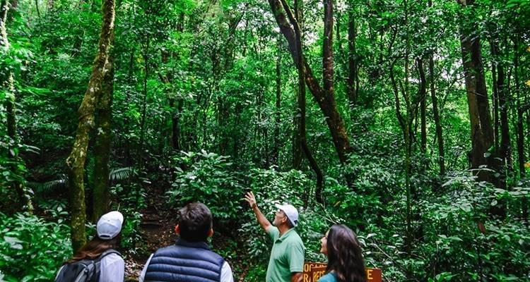 Volcano Nap Package - Central American Tours 7
