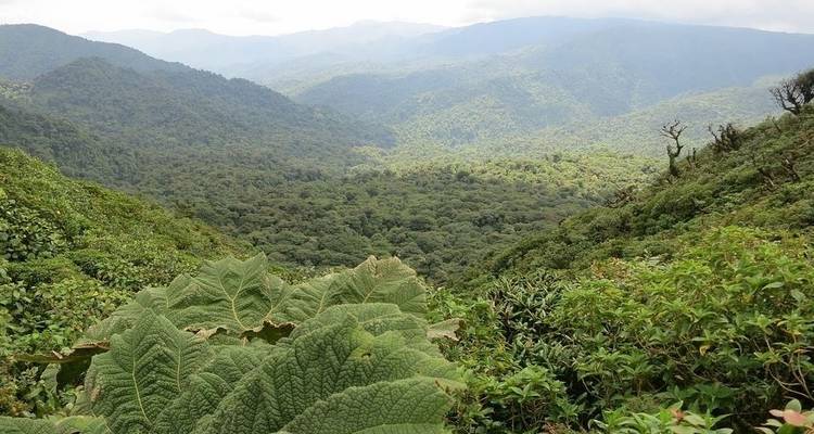 Volcano Nap Package - Central American Tours 10