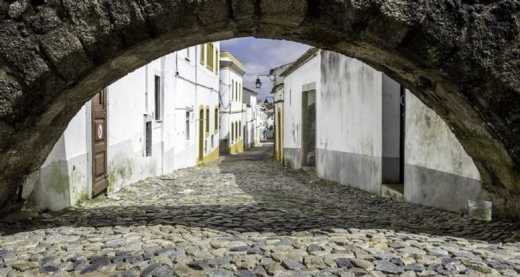 Stone archway over a cobblestone alley in a historical setting.