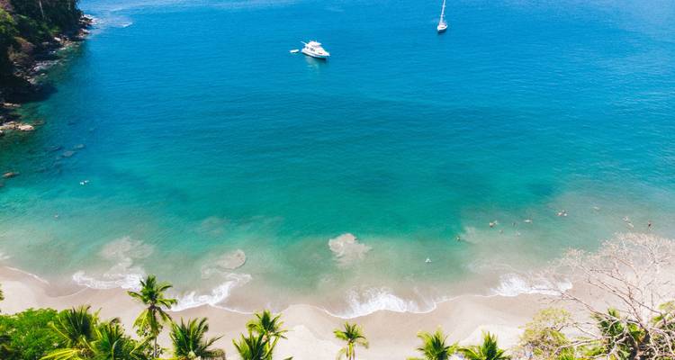 Plage avec des eaux turquoise et des palmiers.
