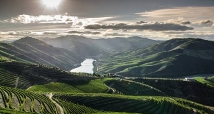Club des familles : Porto, la vallée du Douro - Portugal et Salamanque - Espagne - croisière de port à port - CroisiEurope River Cruises 7