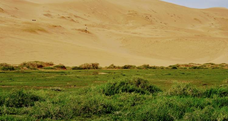 Gobi Desert & Jeep Safari In Mongolia - TTRMongolia 9
