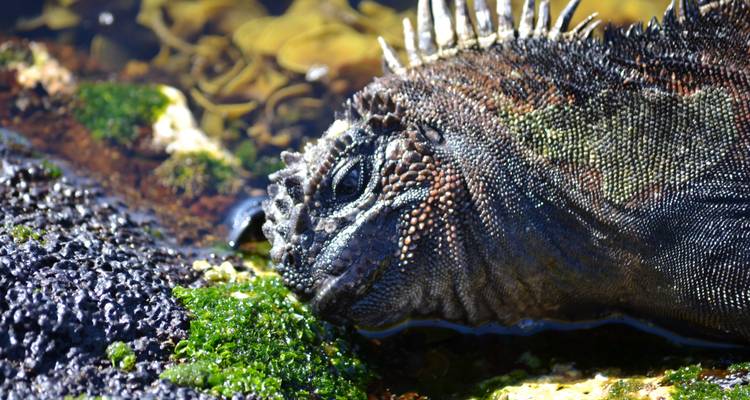 Galapagos Outdoor 9 Days Tour - GUIDEcuador Travel 3