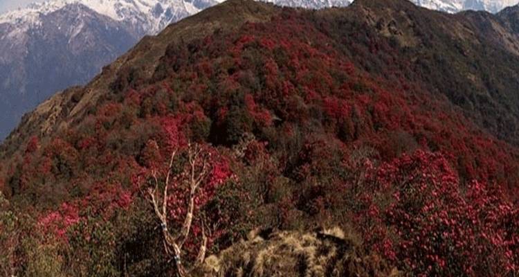 Senderismo Jomsom Muktinath - Outshine Adventure  3