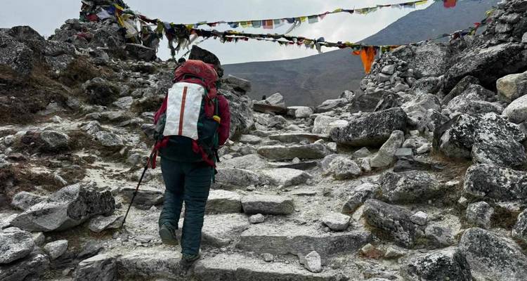 Excursionismo en Vista del Everest - 7 días - White Hill Adventure Treks and Expedition Pvt Ltd 2