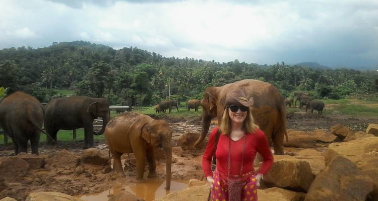 Sri Lanka con estilo - 5 días - Stelaran Holidays (Pvt) Ltd 8
