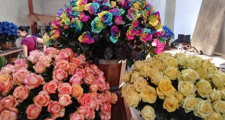 Ecuador Vino y Rosas 3 Días - GUIDEcuador Travel 8