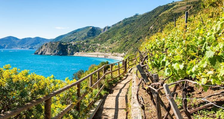 Cinque Terre : senderismo autoguiado - 7 días desde Sestri Levante - Soleto Travel 6