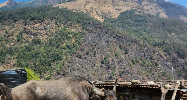Trek Chisapani Nagarkot - Outshine Adventure  1