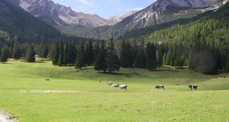 Trekking à travers les Alpes d'Innsbruck à Sterzing - Bestseller Reisen GmbH 4