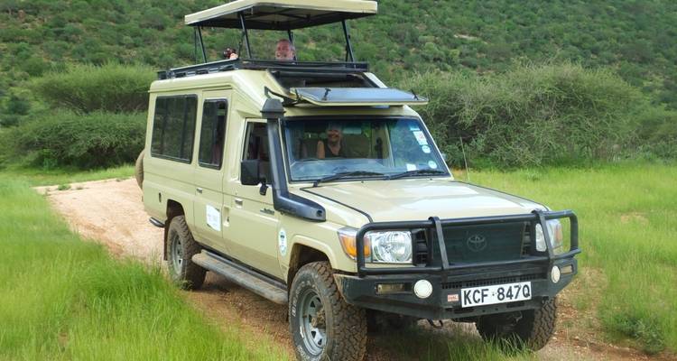Safari voertuig op een grasachtig pad met mensen erin.