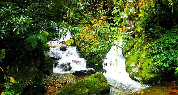 Ghorepani Poon Hill Sunrise View Trek - 9 jours - Oriental Journeys Pvt. Ltd. 2