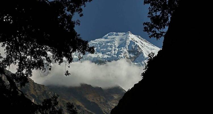 Langtang valley Trek 9 Nights/ 10 Days - Oriental Journeys Pvt. Ltd. 9