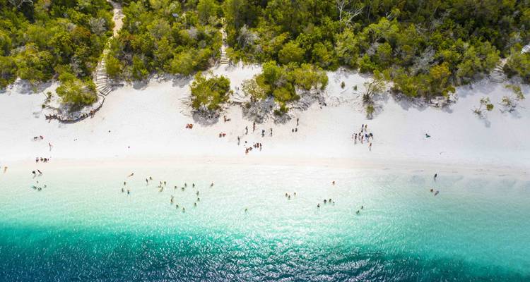 De Sydney à Cairns : 21 jours d'aventure en Emu - Stray Australia  3