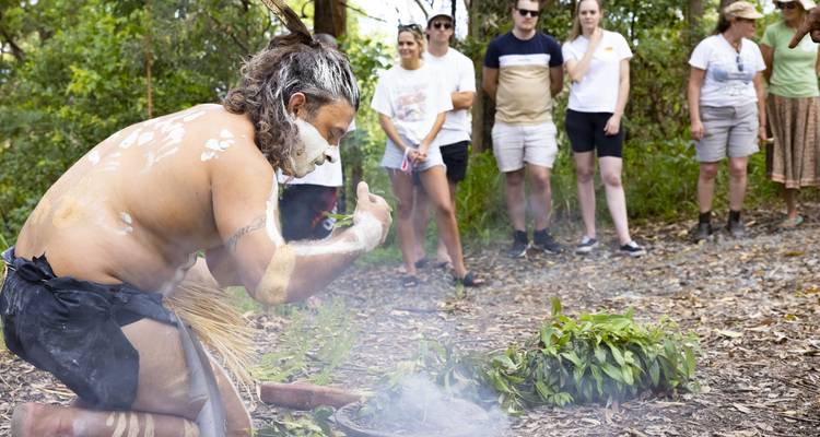 De Sydney à Cairns : 21 jours d'aventure en Emu - Stray Australia  10