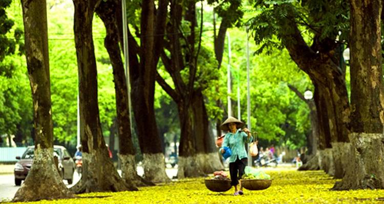 Highlight Ha Noi 7 jours 6 nuits - Hanoi - Sapa - Halong - Ninh Binh - Asia Pacific Travel 1